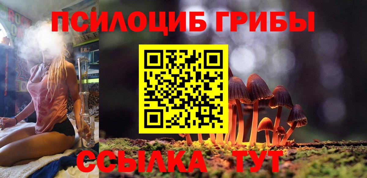 Галлюциногенные грибы Psilocybe Полевской