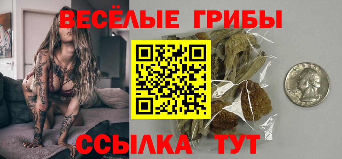 Галлюциногенные грибы Psilocybine cubensis  Вход с VPN  Полевской 